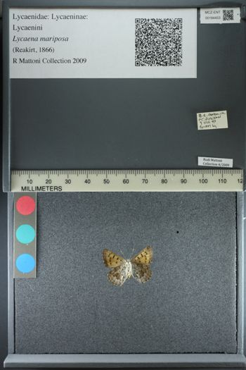 Media type: image;   Entomology 184453